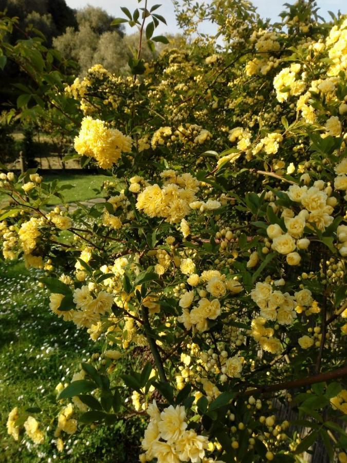 Amaryllis Case Vacanza Romito Magra المظهر الخارجي الصورة