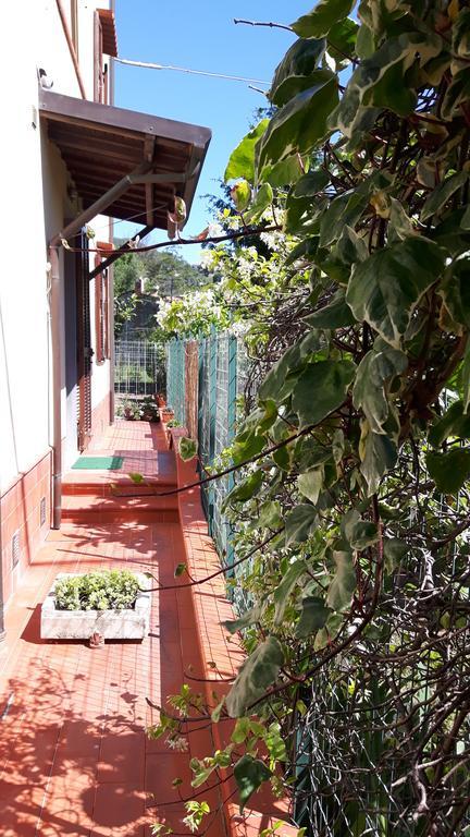 Amaryllis Case Vacanza Romito Magra المظهر الخارجي الصورة